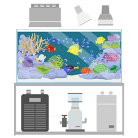 大事な熱帯魚の水槽に